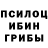 Псилоцибиновые грибы прущие грибы Legendary MAXX