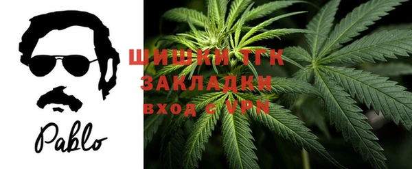 стафф Касимов