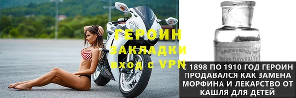стафф Касимов