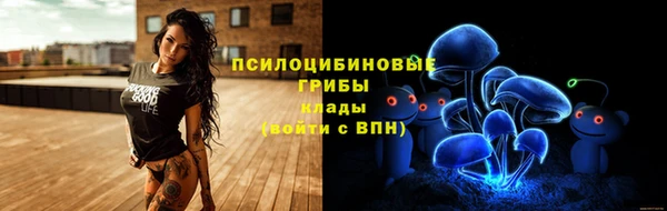 молекула духа Карпинск