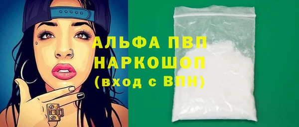 молекула духа Карпинск