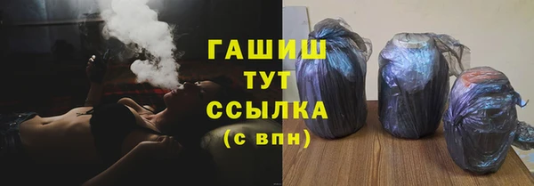 стафф Касимов