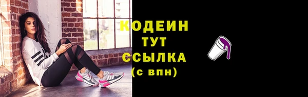 молекула духа Карпинск
