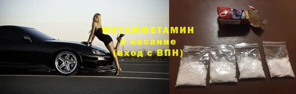 стафф Касимов