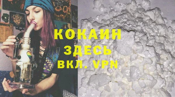 стафф Касимов