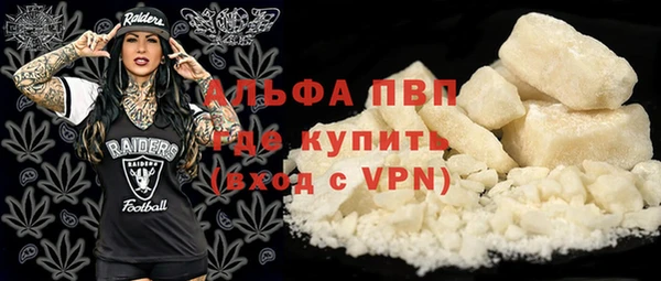 молекула духа Карпинск