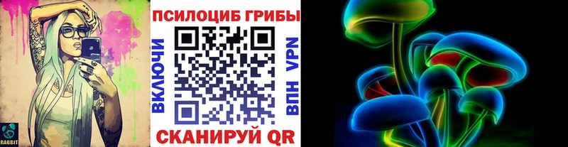 Псилоцибиновые грибы мухоморы  мега рабочий сайт  Щёкино 